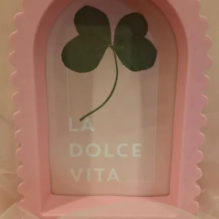 Appartement Pink Bdsm Lalka Milosci Wrocław