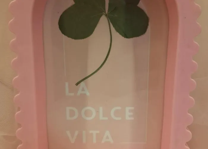 شقة Pink Bdsm Apartment Lalka Milosci فروتسواف